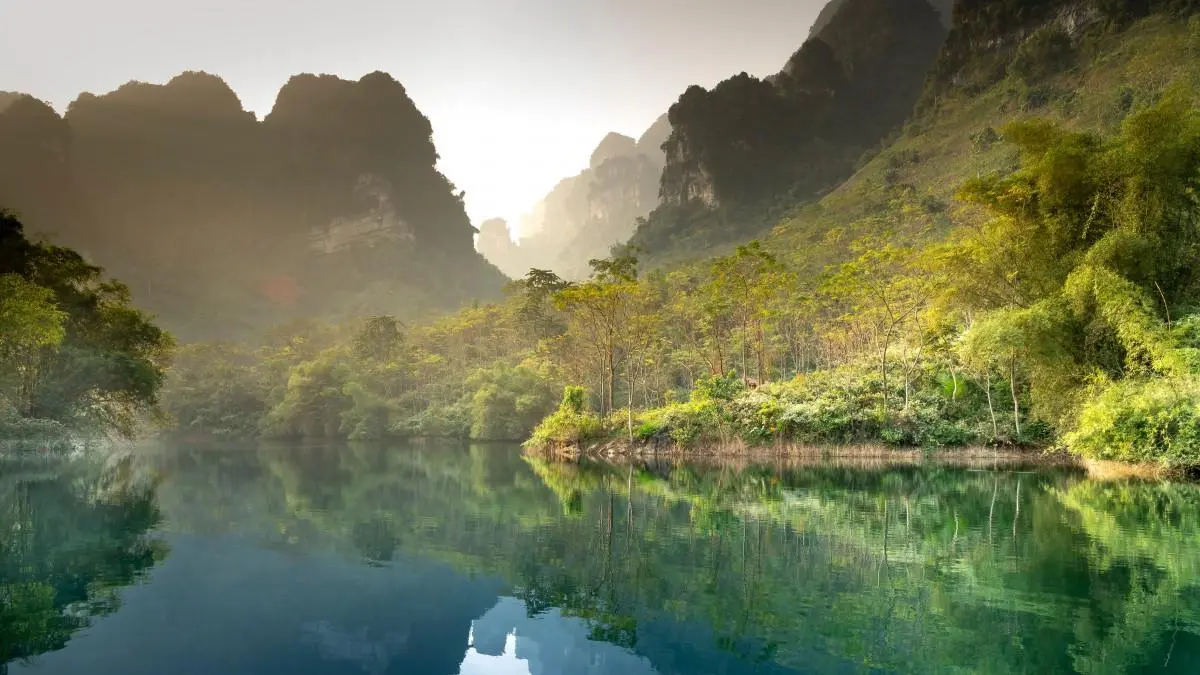 智能高性能
